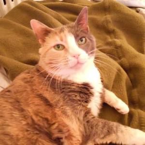 Meet your Posher, Lisa